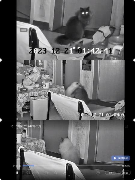 360全景智能联动,400W+400W万双镜头!萤石C7双摄云台摄像机给足你安全感