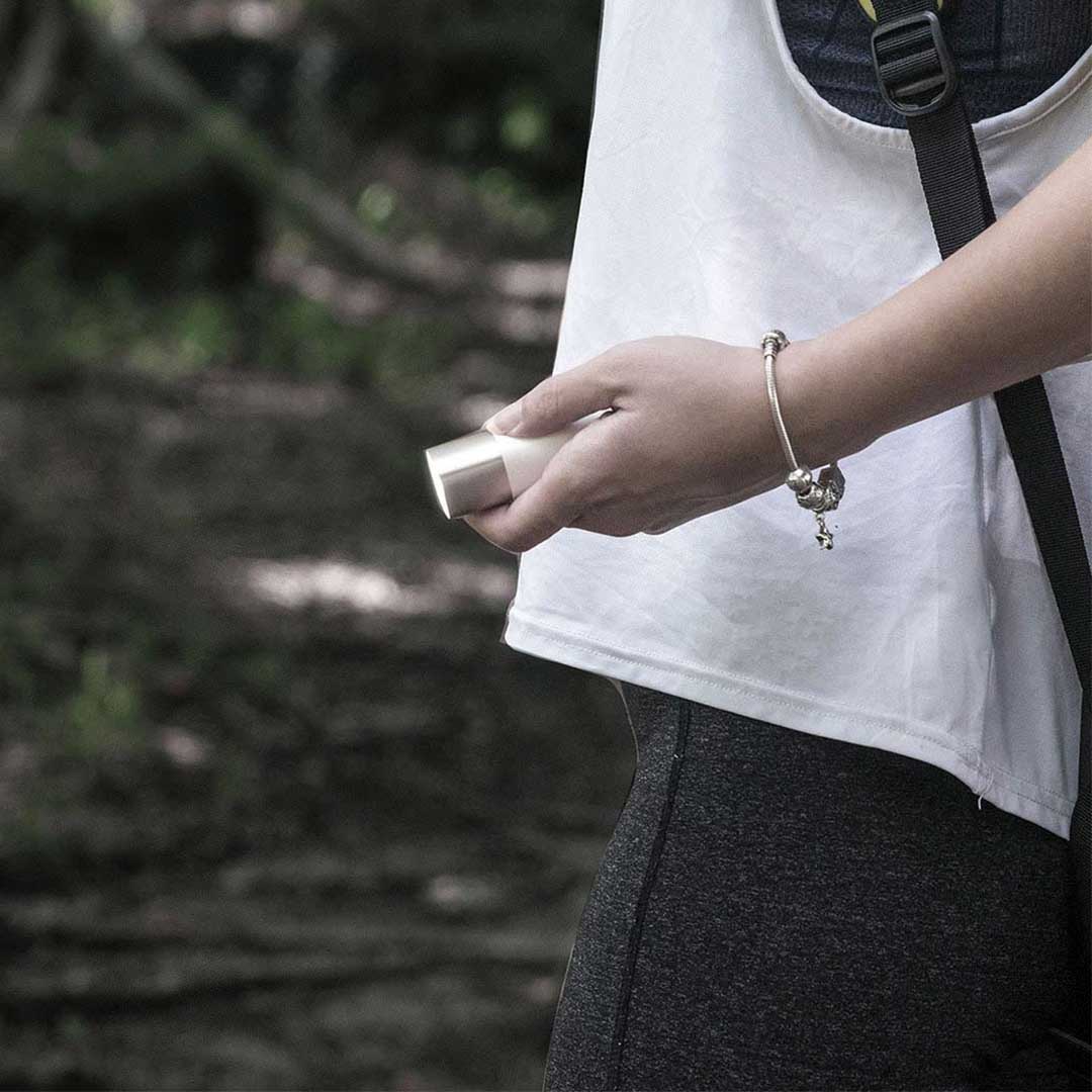  mini 1