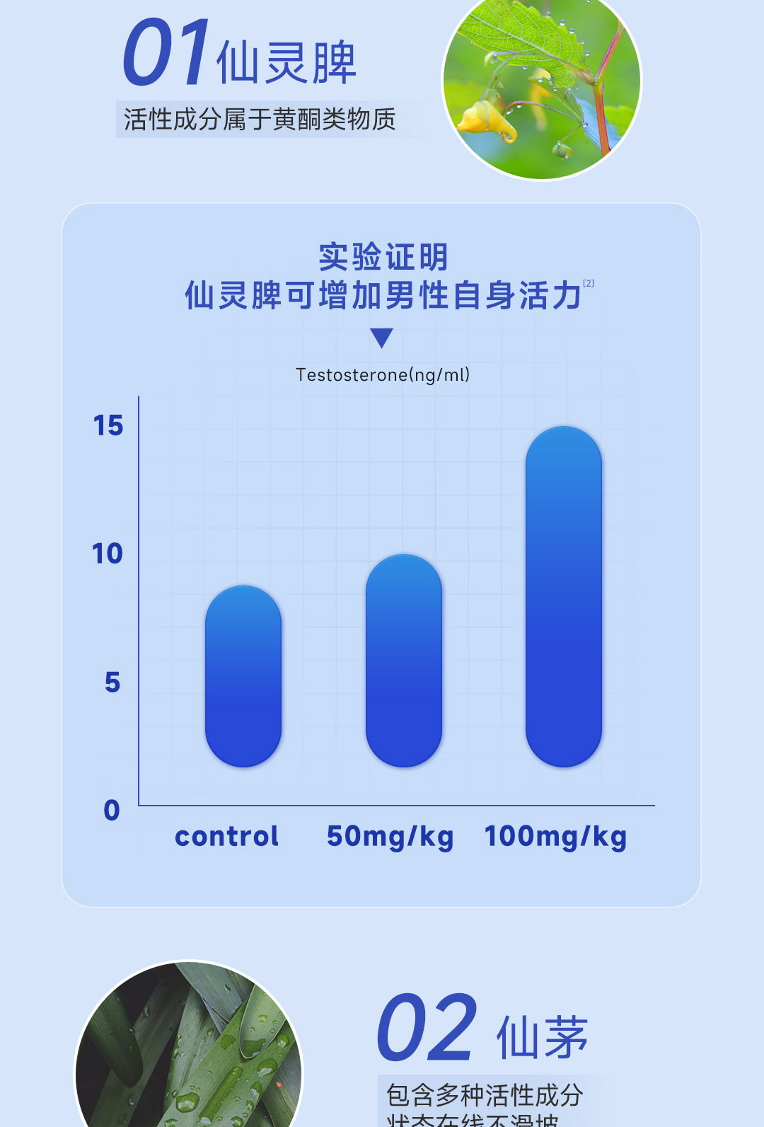 吃什么补肾,运动品牌，推荐选择，提升体验！