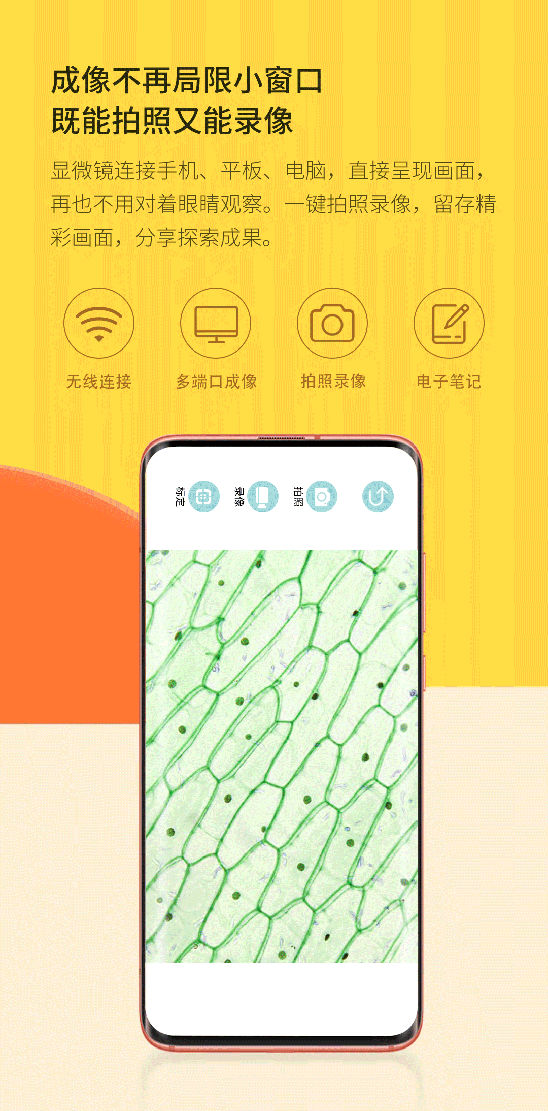 714cae806bcd29977d4ec3a8e43ac254.gif?w=1080&h=2187
