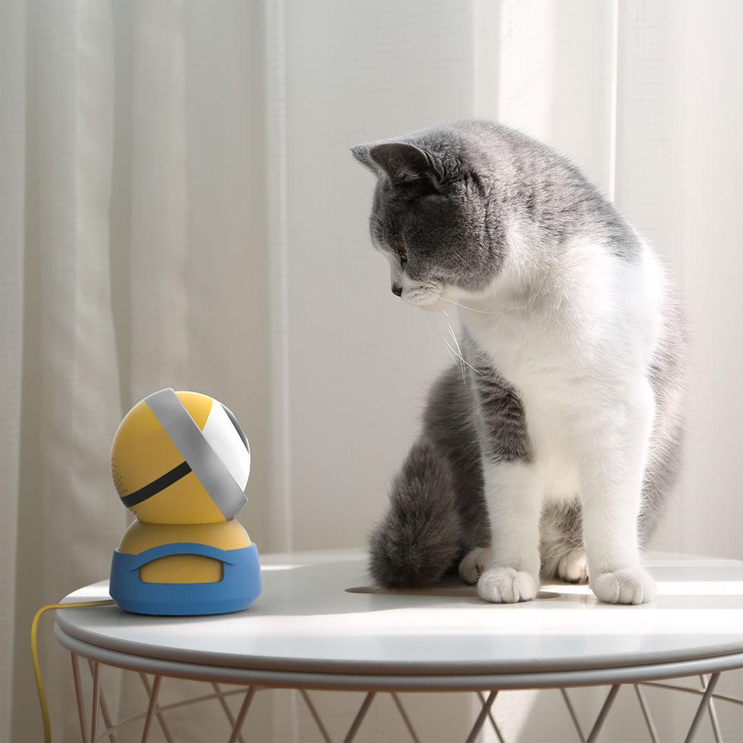 73c0f8945f8b026abecfa9a900d49e77 câmara, câmara de vigilância, crianças, gadgets, minions, segurança, Xiaomi TecheNet Xiaomi câmara de vigilância animais