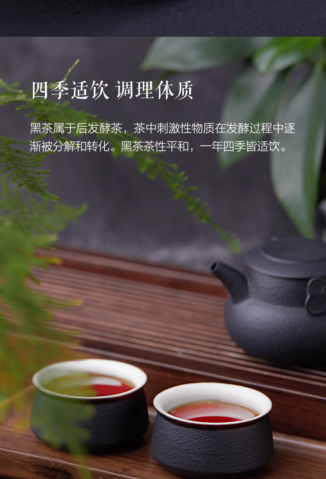 青衣美人1号黑茶4g*30袋/盒-小米有品